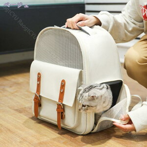 500�~OFF�N�[�|�� �y�b�g�L�����[ �����b�N �\�t�g�N���[�g �L �R���p�N�g �L�L�����[�o�b�O �y�b�g�L�����[�o�b�O �ً}�� �a�@ �h�� �A�E�g�h�A ���s �n�E�X �P�[�W ���^�� ���^�� ��� �h��