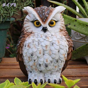 �N�[�|�� �ӂ��낤 �u�� �t�N���E �K�[�f���I�[�i�����g ���g�� ���� �K�[�f���I�u�W�F �t�N���E�̒u���� �K�[�f�j���O �I�[�i�����g �C���e���A �����i ���� ���N�� �v���[���g �� ���� ��