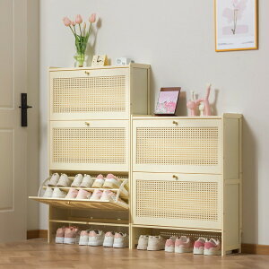 �N���[�������^�t���b�v���ʔ��ƒ�p�ˌ������V���f��2024�����������֌˒I��̌C�I