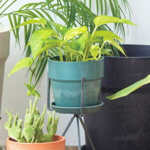 Aؔ   vX`bN v^[ K[fjO G  |pi CeA STCY 󂯎Mt K[fjO i`  9F G