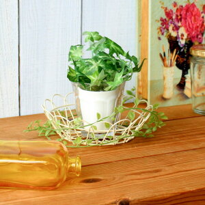  oXPbg JS  [ [{bNX   C[oXPbg 16cm  ACA S CeA Lb`  킢 i` G