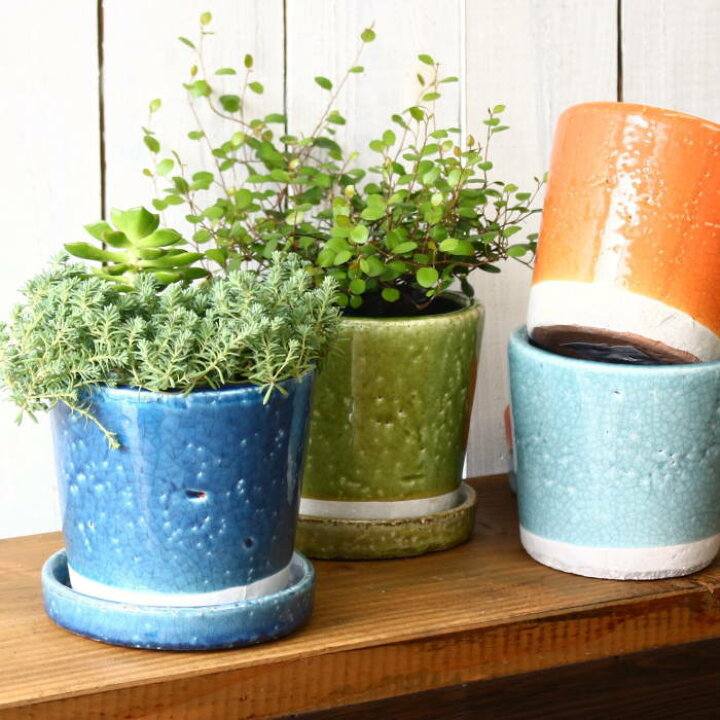 楽天市場】植木鉢 おしゃれ 陶器 鉢 プランター 陶器鉢 ポット 