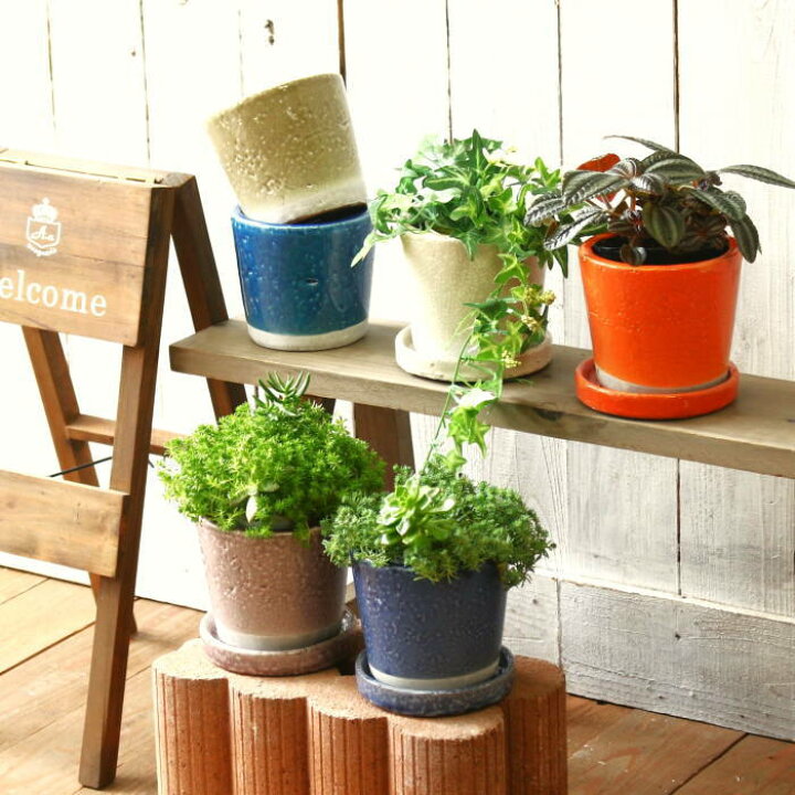楽天市場】植木鉢 おしゃれ 陶器 鉢 プランター 陶器鉢 ポット 