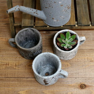 Aؔ    v^[ 픫 |bg K[fjO G AeB[N 킢 re[W Vr[  3F G