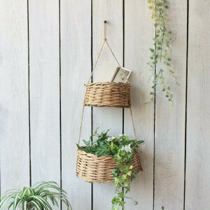  oXPbg JS  [ ݂艺 nMO Ǌ| [{bNX   CeA K[fjO VRf  ^ i` G