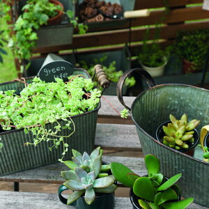 Aؔ  v^[ ` uL  AeB[N v^[{bNX K[fjO CeA ACA WN G