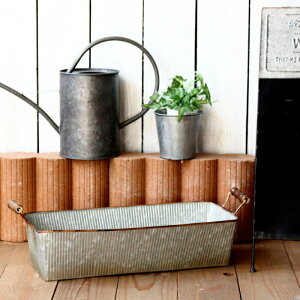 Aؔ  v^[ uL  ` AeB[N v^[{bNX K[fjO CeA ACA WN G