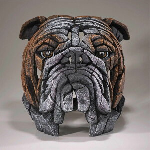 Edge Bulldog Bust 28xs28.5x32(cm) uhbO  | GbW  u IuWF tBMA  傫 A A[g }bgEobN[ KAi