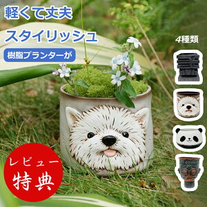 �y�N���ň��l����I�ő�15��OFF�z�A�ؔ� ������� ���� ���O ���J�o�[ �t�����[�|�b�g �p���_ �~�j�|�b�g �ϗt�A�� �󂯎M��̌^ ���A�� �K�[�f�j���O �C���e���A �ϗt�A�� �� �ϗt�A���̔� 