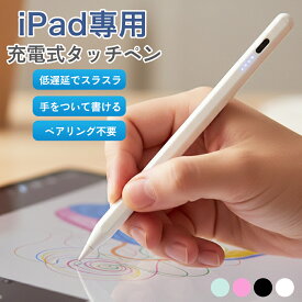 タッチペン iPad ペンシル スタイラスペン Type-C充電 iPad Air11 M3 2025 ipad 11 A16 第11世代 10 9 8 7 6 世代 Air5 mini6 Air4 10.2 Pro 12.9 11インチ 13インチ パームリジェクション 途切れ/遅延/ズレ/誤操作防止 大学 残量表示