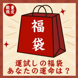 ＼15点セット／運試しの福袋、あなたの運命は？店長おまかせ福袋、何が入っているかは届くまでのお楽しみ！ケーブル、モバイルバッテリー、車載用品、イヤホン、LEDインテリアライトなど、盛りだくさん！在庫処分セール中！父の日、母の日のギフトやプレゼントにもぴったり