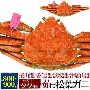 y 䥂 tKj ( YCKj ) 1t-2t 800`900g Ynؖ^Ot zuhtI 蕨 Mtg  ʔ Y Yn Y  ĎR` ËR` Z` g