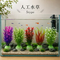 楽天市場】メダカ 水槽 セット（水槽・アクアリウム内装｜熱帯魚 