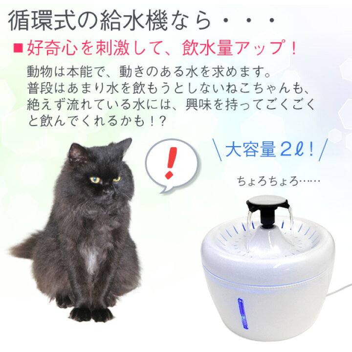 楽天市場】送料無料 ねこ用循環式自動給水器 大容量2L 2way ペット用水 