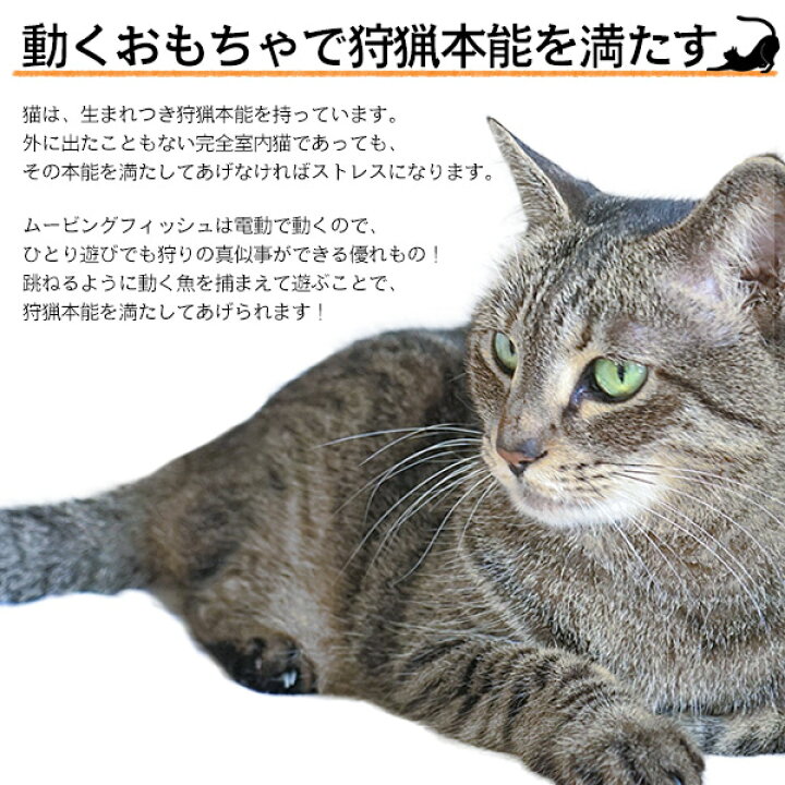 楽天市場 送料無料 動く魚 猫用おもちゃ ムービングフィッシュ 3種 金魚 ます 鯉 鮭 淡水魚 Usb充電式 電動魚 ねこちゃん ネコ 運動不足解消に ペット用品 猫用品 電池交換不要 ストレス解消 激安輸入雑貨通販の店 Wilmart