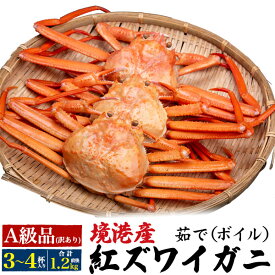 予約【送料無料】A級品 訳あり 茹で紅ズワイガニ 3～4杯 (合計1.2kg前後) 境港 産地直送 未冷凍 日本海産 贈り物 ギフト お取り寄せ 通販 プレゼント お祝い 送料込み カニ ボイル ベニズワイガニ べにずわいがに 蟹みそ かにみそ 産直 3匹 4匹 冷蔵 着日指定不可