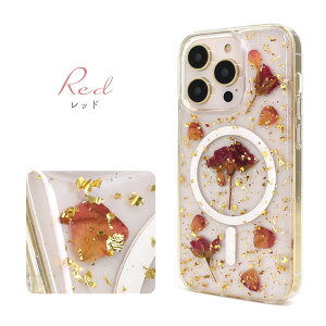 y iPhone 14 Prop MagSafeΉ  NAP[X z\tgP[X  iPhone14proP[X ACtH14vP[X ACtH14vJo[ w obN Jo[ XPg ACz14v 