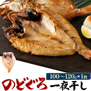 y ̂ǂ銱 100`120g z 1`5Zbg Ђ  mhO ނ AJc Ԃނ Mtg  p lcŝǂƎ v[g j ̂
