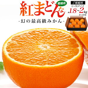 yƒp g܂ǂ L`5LTCY 1.8`2kgi5`10ʁjz̍ō݂ QY x  ʔ Y  t[c ʕ ~J  퉷z s 󂠂i