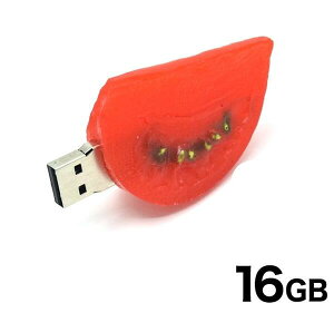  y USB 16GB ^؂g}g^Cv ze16GB USB2.0]  ʐ^ 摜 f[^ t@C̕ۑ [ H 1000~|bL 