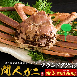 y  () ԐlKj 500`600g uh^Ot z1`2t tKj̍ō tKj YCKj t tKj 킢 蕨 Mtg  Yn 