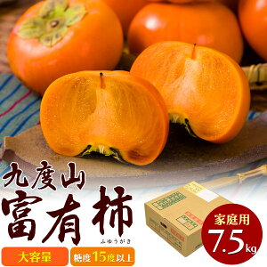  y a̎R xR̕xL` ƒp 7.5kg z e x15xȏ 24ʁ`40 s  ʔ v[g Y  t[c ʕ  JL ӂ䂤 ӂ䂤` 