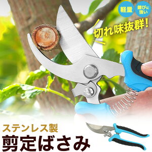  y ΂ XeX z SbNt ͂ nT~ oT~ y RpNg Kтɂ Jbg ʎ |  ~ ؂̐` ̙ }  