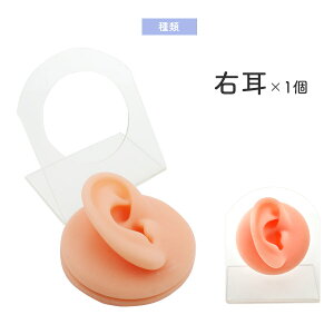 y fBXvCp ͌^ X^ht E /  VRf zA ^ sAX CO C[tbN ⒮ Cz ANZT[ W ̔  X X܃fB