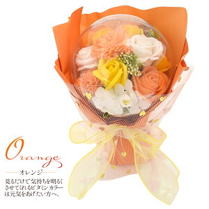  y \[vt[o[ NAP[Xt z͂ȂΌ̂ u[P Mtg p v[g lC 蕨 ԑ ̓ a LO Ϗܗp   킢 