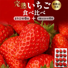 送料無料 【 和歌山県産 完熟いちご食べ比べ 12粒 】まりひめ+1種おまかせ 苺 イチゴ 希少価値 人気品種 箱 ボックス入り お取り寄せ 通販 ギフト 国産 送料込み 熨斗対応 のし おすすめ 秀品以上 プレゼント 人気 さちのか×章姫のかけあわせ ブランド 高級 紀の香 紅ほっぺ