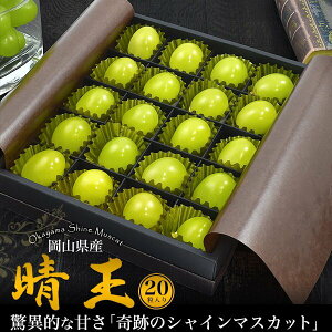 p RY VC}XJbguv 20 M/L/LLTCY  OY 嗱 x ōx25x j 蕨 a  v[g  l ̂Ή t[c Ԃǂ  u
