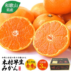 ݂ؑ ŏ㓙 ԏGi 3kg a̎RY  Z 󏭕i  30`36 ʔ Y  t[c ʕ ~J   퉷z Ε Ε ~Mt