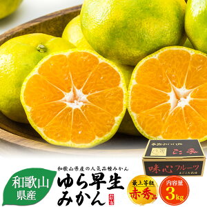  y 瑁݂ ŏ㓙 ԏGi 3kg za̎RY lCi Z  ʔ Y  t[c ʕ ~J   퉷z ~MtgÖ 