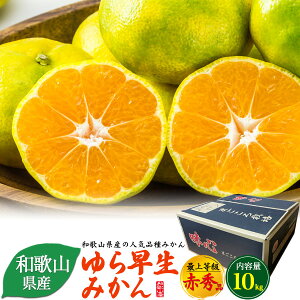 \ y 瑁݂ ŏ㓙 ԏGi 10kg z100`115 a̎RY lCi Z  ʔ Y  t[c ʕ ~J   퉷z Ε Ε