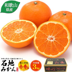 y Βn݂ ŏ㓙 ԏGi 3kg za̎RY xi Z  30`36 ʔ Y  t[c ʕ ~J   퉷z Ε Ε ~M