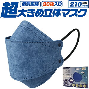 ���傫�߁I ���̃}�X�N 30������ �ʕ �������� 4�w�\�� � �� �q���I �傫�ڃT�C�Y �s�D�z�}�X�N 3D���̍\�� �g���̂ă}�X�N �J���[�}�X�N �� �u���[ �E�C���X ���� �ԕ��Ǒ΍� ��