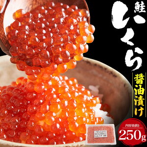 i`j ݖЂ 250g`  kCH ` HׂTCY pbN CN ƒp p  ʔ Ⓚ CN i  瘥 ǂ