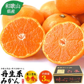 送料無料【 丹生系みかん 最上等級 赤秀品 約3kg 】和歌山県産 にゅうけい 晩生みかんの最高級品種 濃厚 お取り寄せ 通販 国産 送料込み フルーツ 果物 ミカン おすすめ 箱入り 常温配送 冬ギフト 味心出荷組合 あじごころ人気 希少 予約販売