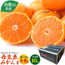 送料無料【 丹生系みかん 最上等級 赤秀品 約10kg 】和歌山県産 にゅうけい 晩生みかんの最高級品種 濃厚 お取り寄せ 通販 国産 送料込み フルーツ 果物 ミカン おすすめ 箱入り 常温配送 冬ギフト 味心出荷組合 あじごころ人気 希少 予約販売 箱入り 贈答用