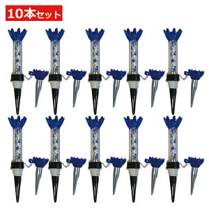 WZ16S-10-bl 10{Zbg u[ r[eŃ[֑ SteB[ }Olbg eB[ St hCo[ h~ }OlbgSteB[ CpNg O V[g Rt 