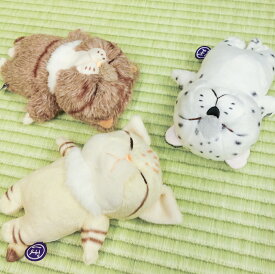ぼうみたいなねこ ぬいぐるみ 猫 内藤デザイン研究所 へそ天 送料別 ネコ科 子猫 動物 猫グッツ ネコ どうぶつ かわいい ツシマヤマネコ スナネコ ユキヒョウ キッズ 誕生日 正規代理店 プレゼント 女の子 男の子 おもちゃ ギフト 子供 ぼうねこ やわらかい キャット 母の日