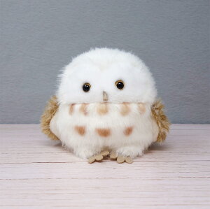 킽 ʂ Vi fUC   tNE ETM Lcl V}GiK ǂԂ 킢  䂫 ~ LbY a K㗝X v[g ̎q j̎q  