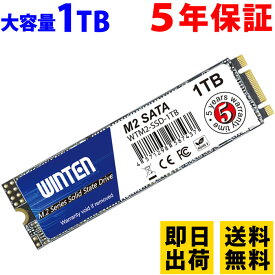 SSD M.2 1TB【5年保証 即日出荷 送料無料 ドライバー付】WTM2-SSD-1TB M.2 2280 SATA 3D NANDフラッシュ搭載 片面実装 B&M Key 日本語パッケージ 説明書 保証書付き エラー訂正機能 省電力 衝撃に強い 内蔵型SSD 6085