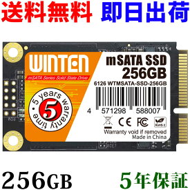 SSD mSATA 256GB【5年保証 即日出荷 送料無料】WTMSATA-SSD-256GB mSATA SATA 3D NANDフラッシュ搭載 日本語パッケージ 説明書 保証書付き エラー訂正機能 省電力 衝撃に強い 内蔵型SSD 6126