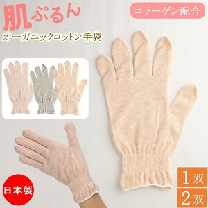 Ղ R[Qz ₷ݎ nhPA I[KjbNRbg {^jJ_C ₷  p 1o 2o R[Q Ȏ nhPA { ێ  Rbg ۉ 