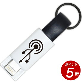 【 ポイント5倍！4/24 20:00~ 4/27 9:59】FunTech iPhone / Android どちらでも使える 2in1 充電ケーブル 携帯に便利なコンパクトタイプ 送料無料