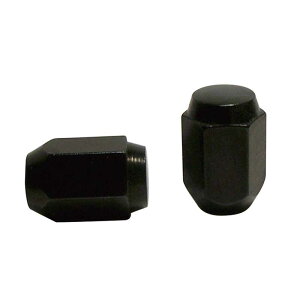 �܃i�b�g ���F M12×P1 5-21H 31mm �i100���j�i�b�g �z�C�[�� �V���[�g �Ɩ��p ��e�� 60°�e�[�p�[���z�C�[�� ���� �^�C�� �� ������ �_�� �����e �� �g���^ �z���_ �}�c�_ �_�C�n�c �O�H ���Y��