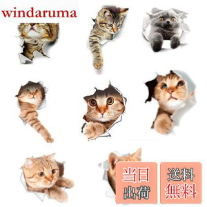 yzsiawadeky L V[ 8Zbg  EH[XebJ[ яoĂ 3D݂ h V[  DIY  JtF ybg gC  Q q CeA  