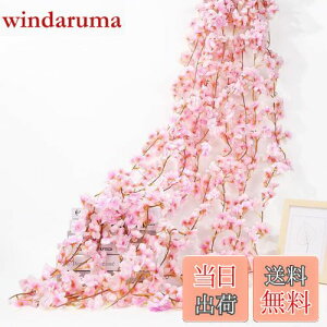 yzsiawadeky  K[h  ͂Ȃ 4{ 135/{ lHϗtA ԗ ʐ^  v|[Y p[eB[  lHǊ| ݂艺 fR[V o