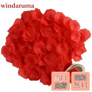 yzDEVENTORZ bh Ԃт 3000Zbg VN o Ԃт   ỏԂт v|[Y  EGfBO v|[Y//a/j/p[eB[/a/BeȂ